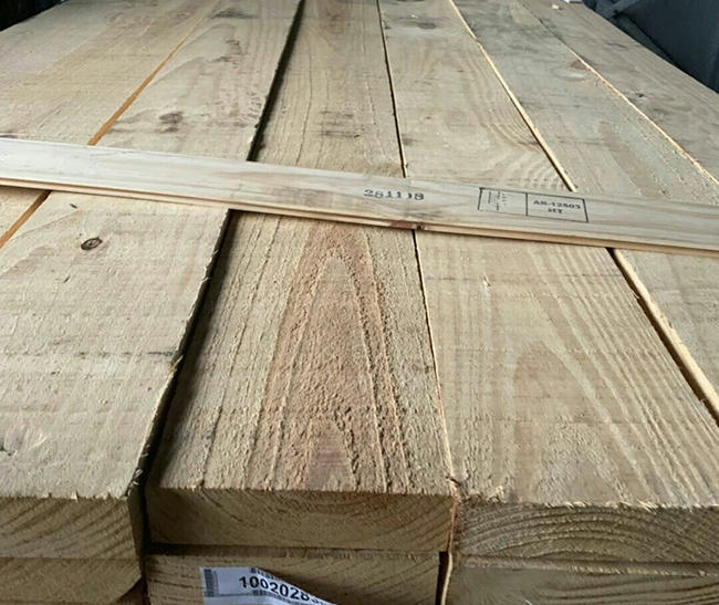大东阿根廷松木
